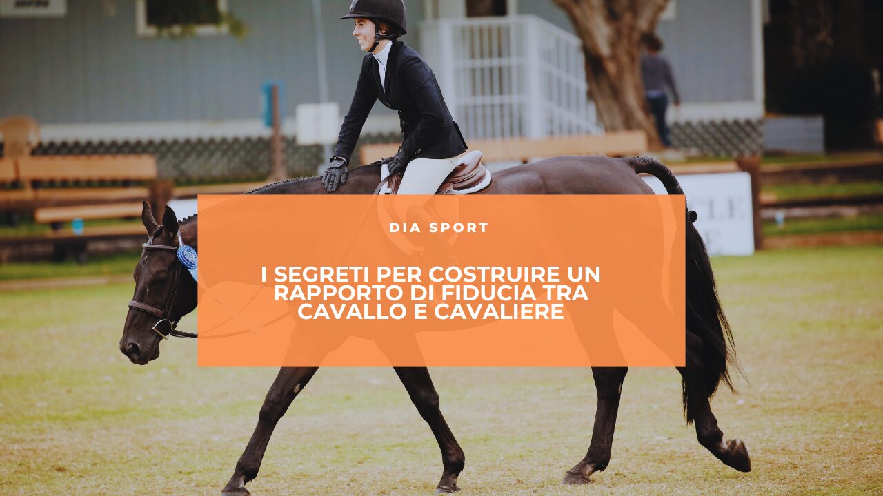I segreti per costruire un rapporto di fiducia tra cavallo e cavaliere